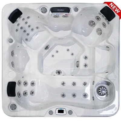 Costa-X EC-749LX hot tubs for sale in Saint Cloud