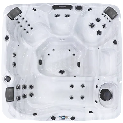 Avalon EC-840L hot tubs for sale in Saint Cloud