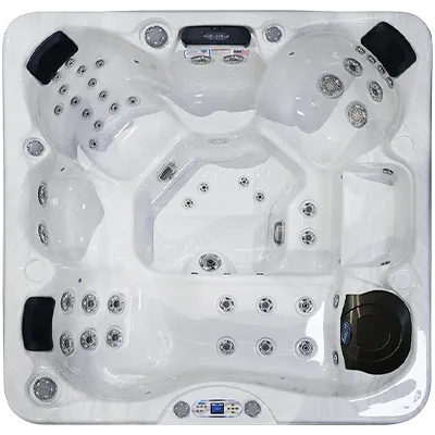 Avalon EC-849L hot tubs for sale in Saint Cloud