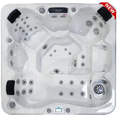 Avalon-X EC-849LX hot tubs for sale in Saint Cloud