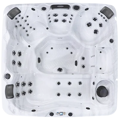 Avalon EC-867L hot tubs for sale in Saint Cloud