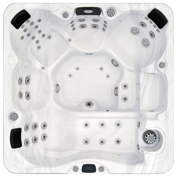 Avalon-X EC-867LX hot tubs for sale in Saint Cloud