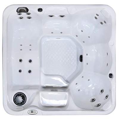 Hawaiian PZ-636L hot tubs for sale in Saint Cloud